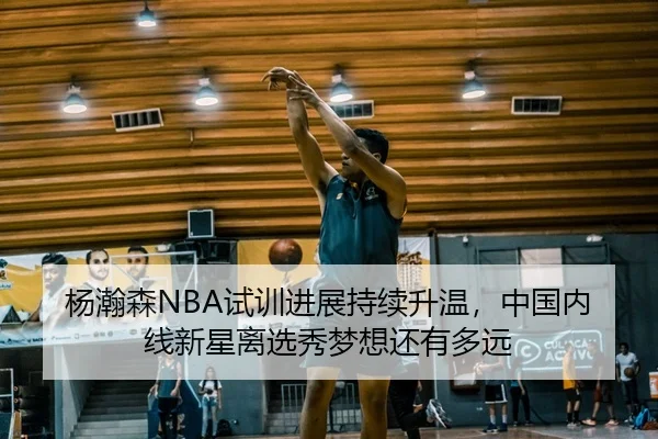 杨瀚森NBA试训进展持续升温，中国内线新星离选秀梦想还有多远